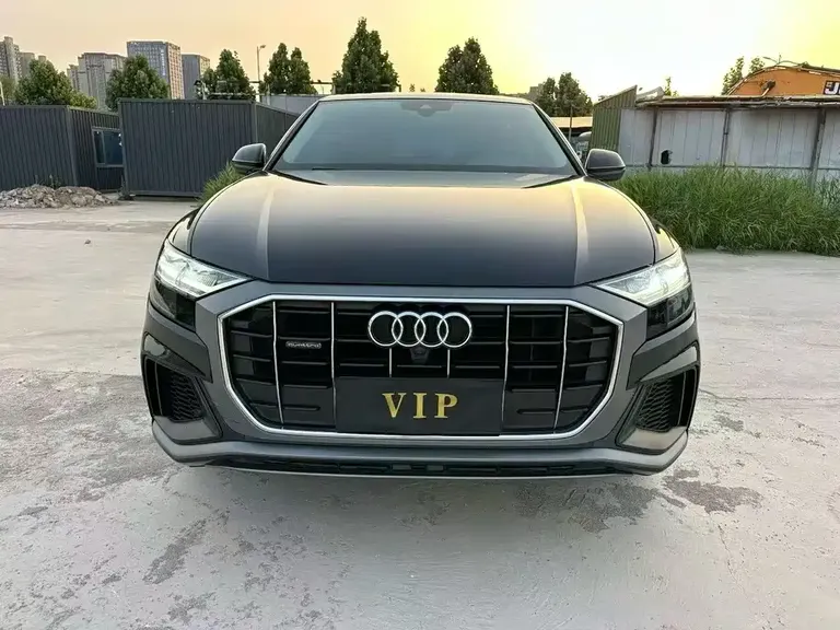 Audi Q8 奥迪Q8 2019款 55 TFSI 尊享动感型