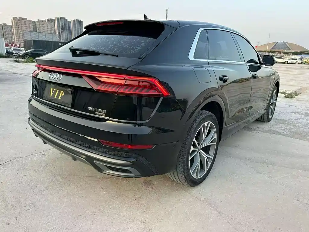 Audi Q8 奥迪Q8 2019款 55 TFSI 尊享动感型