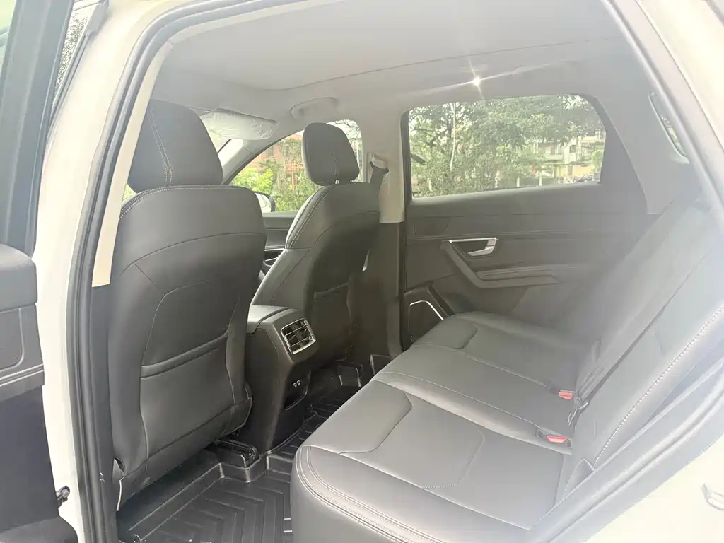 Song Pro 1.5 T Auto Luxury