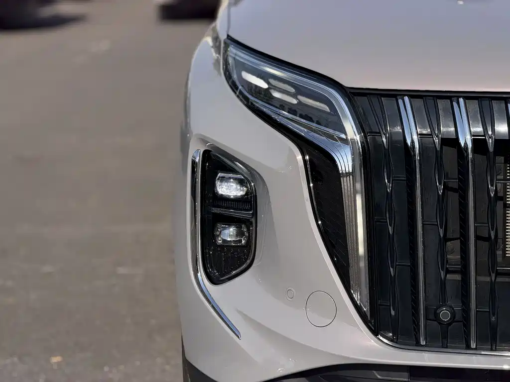 Hongqi HS7 PHEV 红旗HS7 PHEV 2024款 2.0 T PHEV 四驱旗领版 6座