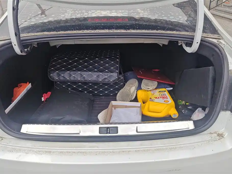 C4 Sega 1.6 L Auto Luxury