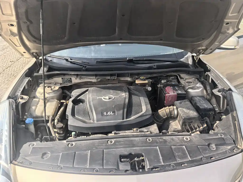 Family 1.6 L Manual Luxury