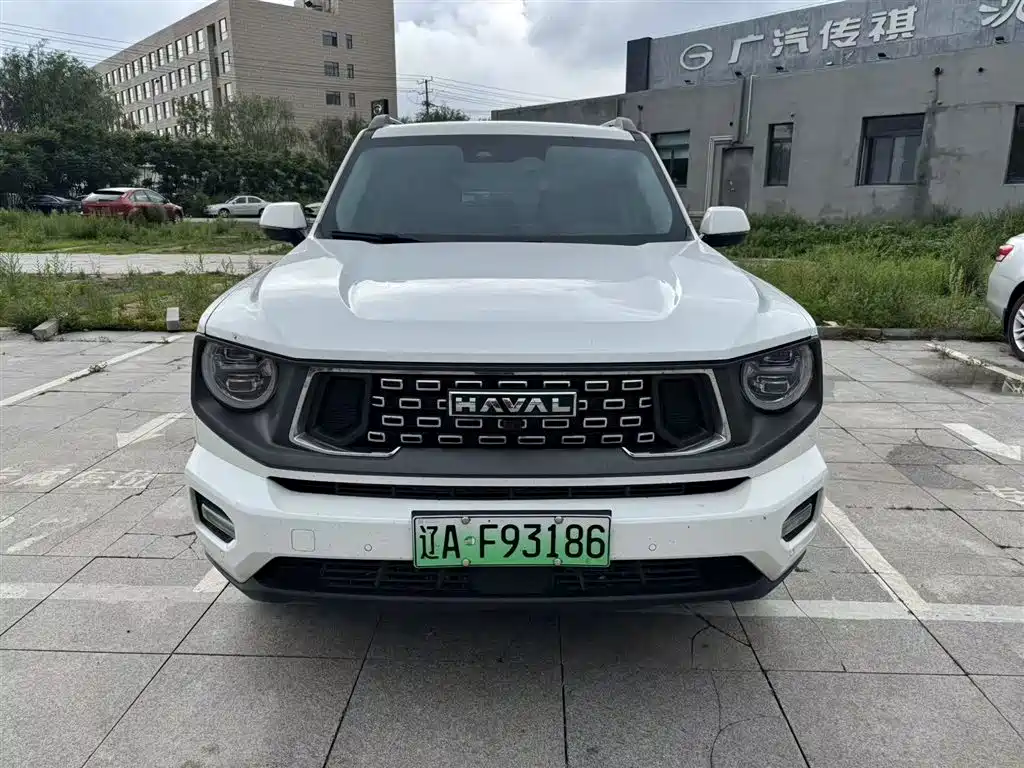 Haval Dargo PLUS NEV Hi4 102 km Trend Electric Plus