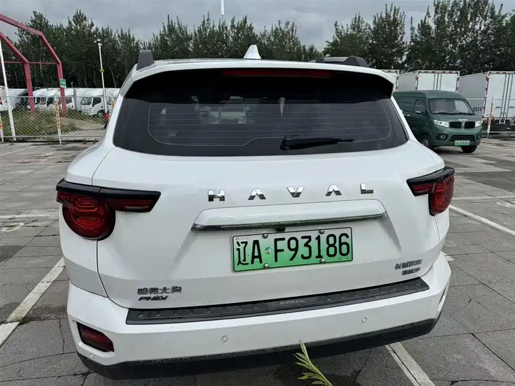Haval Dargo PLUS NEV Hi4 102 km Trend Electric Plus
