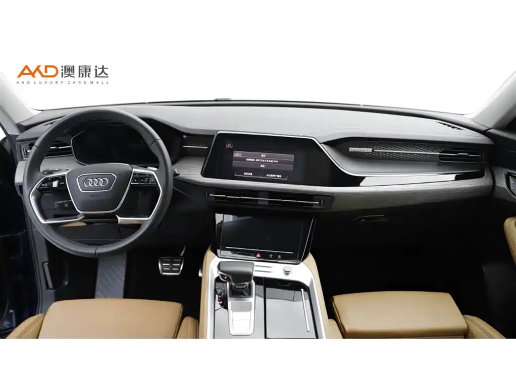 Audi Q6 奥迪Q6/2.0 T/24款/45 TFSI quattro 齐云型 羽林套装 6座