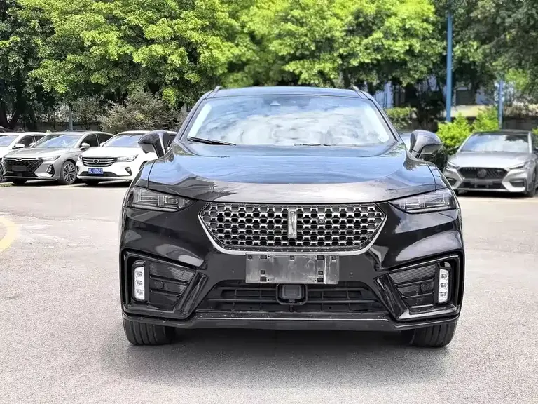 WEY VV7 2.0 T Flagship