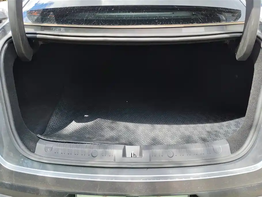 Qin L DM-i 80 KM Transcend