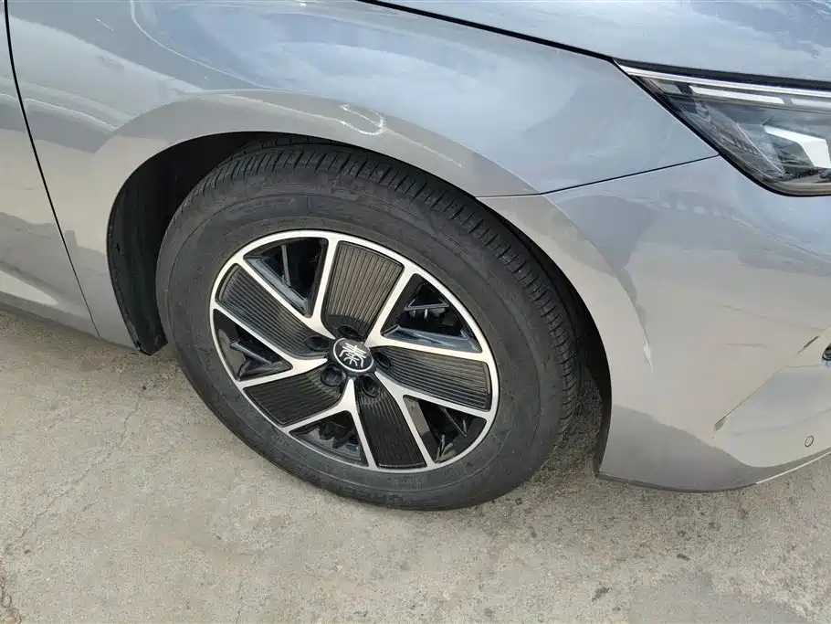 Qin L DM-i 80 KM Transcend