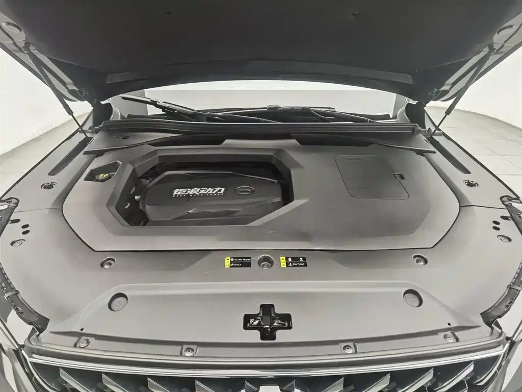 GAC Trumpchi GS8 Navigator Series 2.0 TGDI 2 WD Distinguished (7-seat)