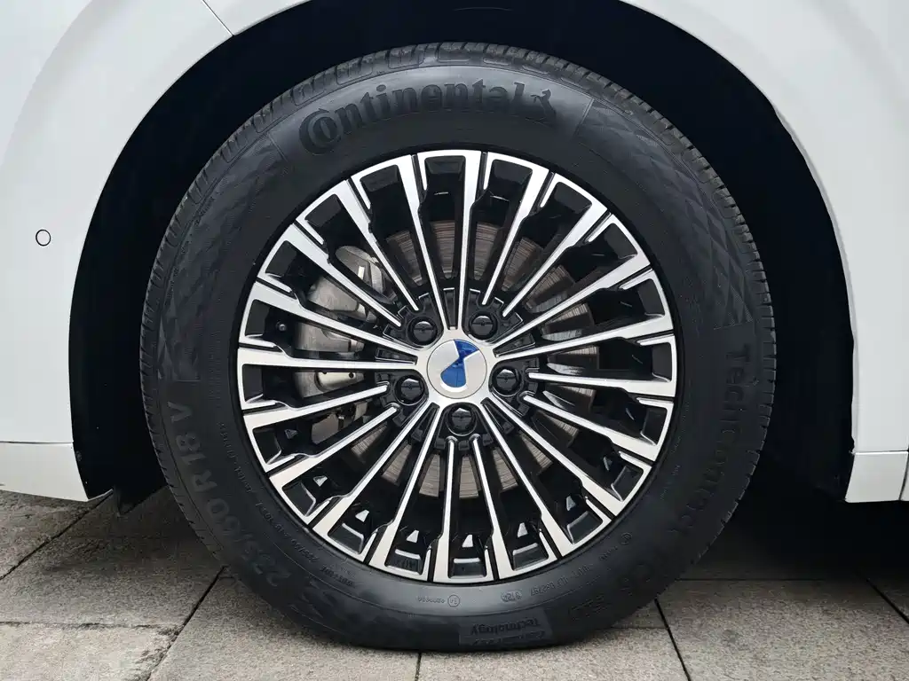 Denza D9 DM-i 970 4 WD Flagship