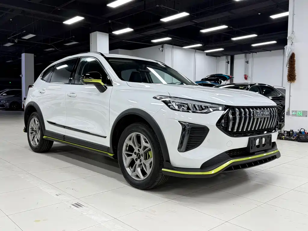 Haval Chitu Power Enjoyment 1.5 T Bronze Rabbit