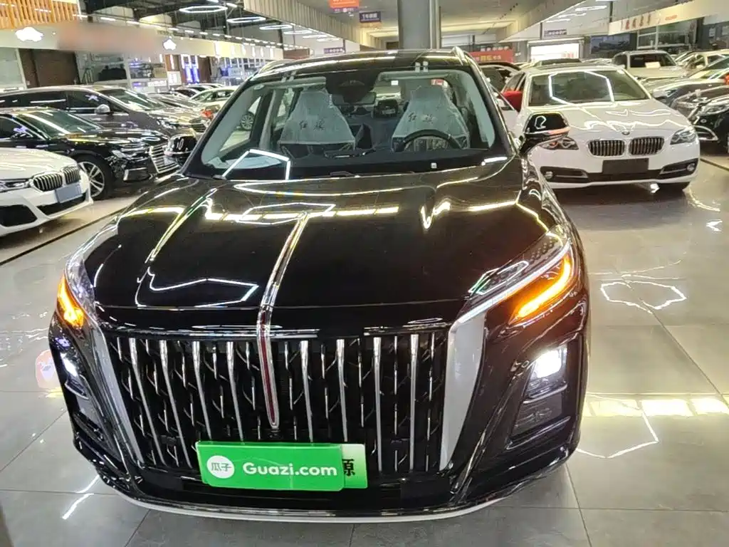 Hongqi HS3 PHEV 115 km Power Action