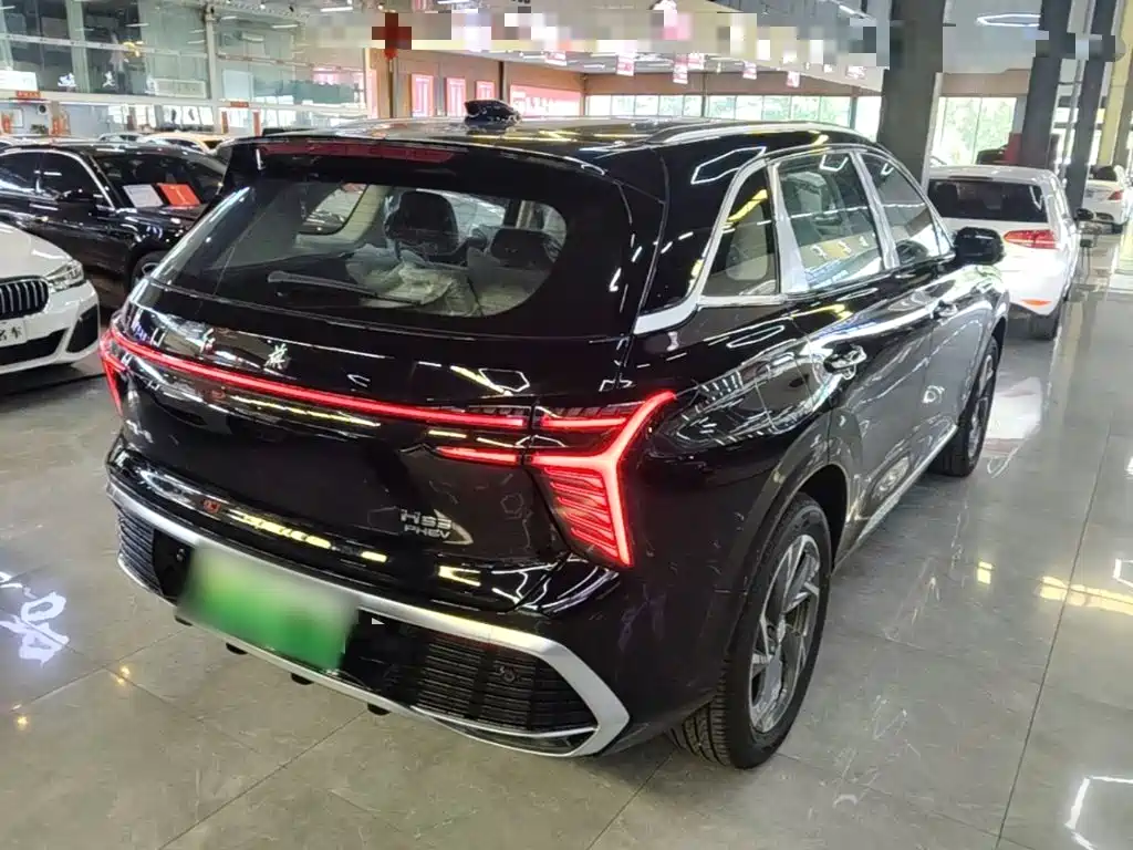 Hongqi HS3 PHEV 115 km Power Action