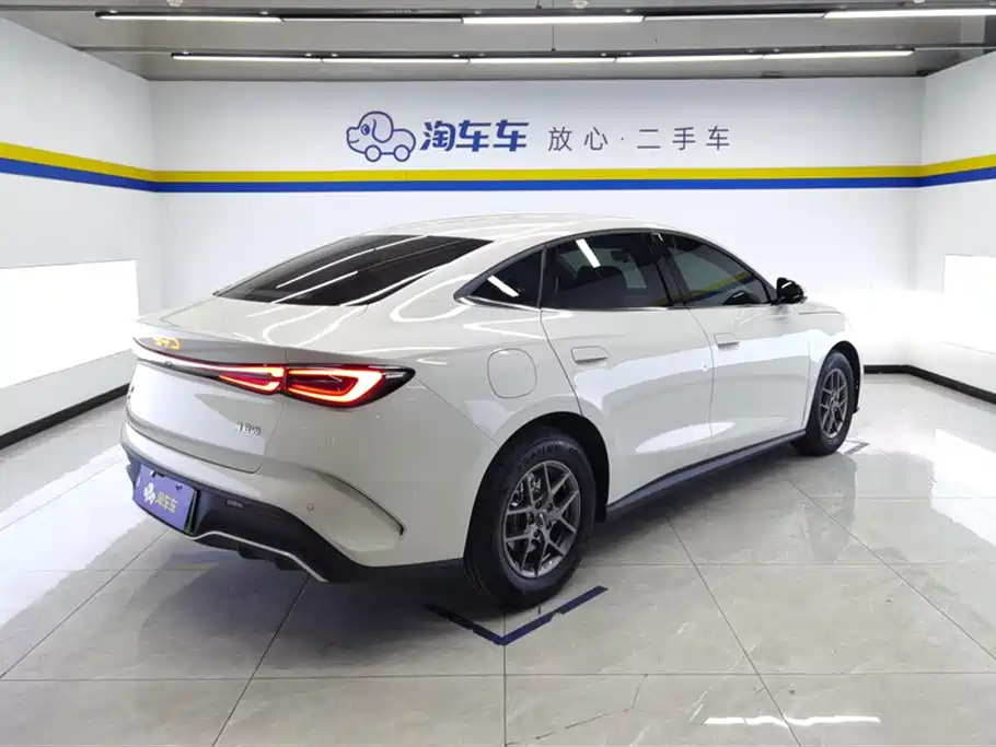 Seal 06 DM-i Super Enjoyment 128 KM Luxury