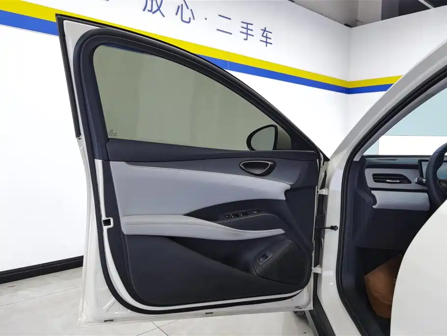 Seal 06 DM-i Super Enjoyment 128 KM Luxury