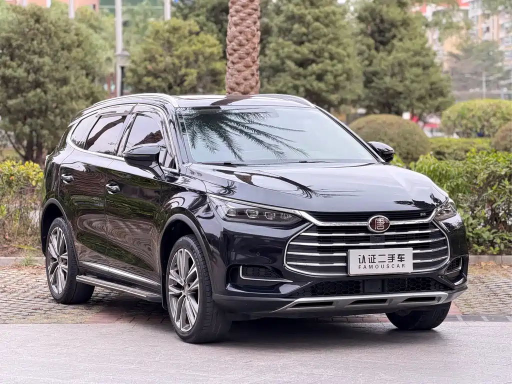 Tang 2.0 T Auto Connected Honored 7-seat CN-V