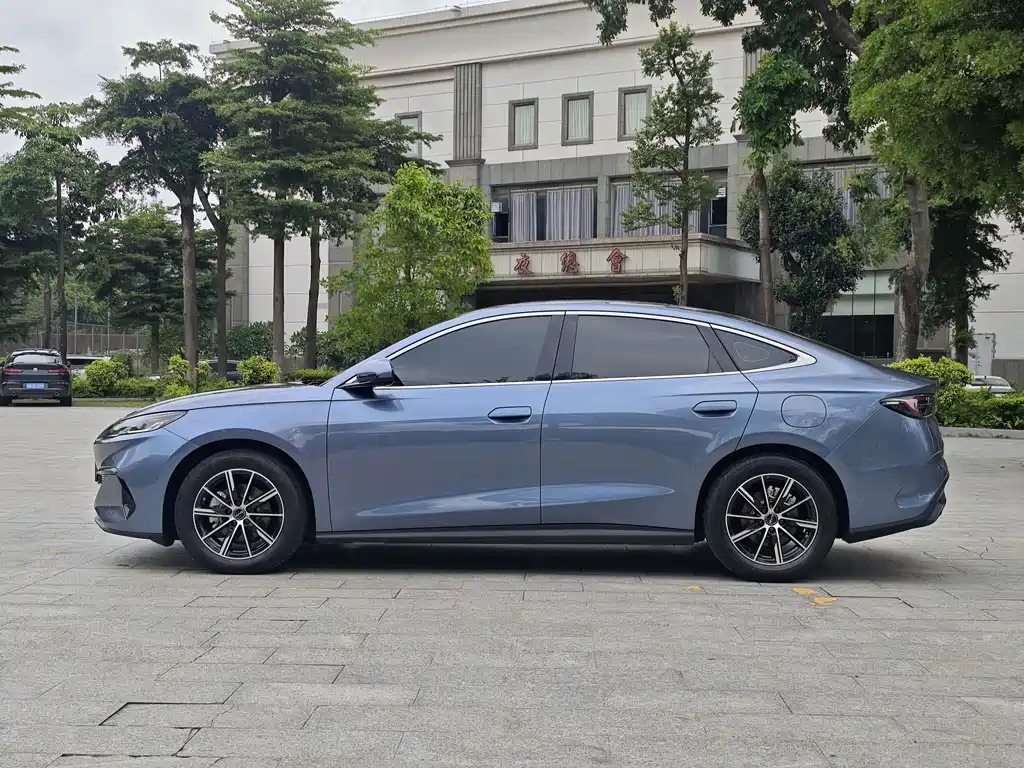 Seal 06 DM-i 120 KM Premium