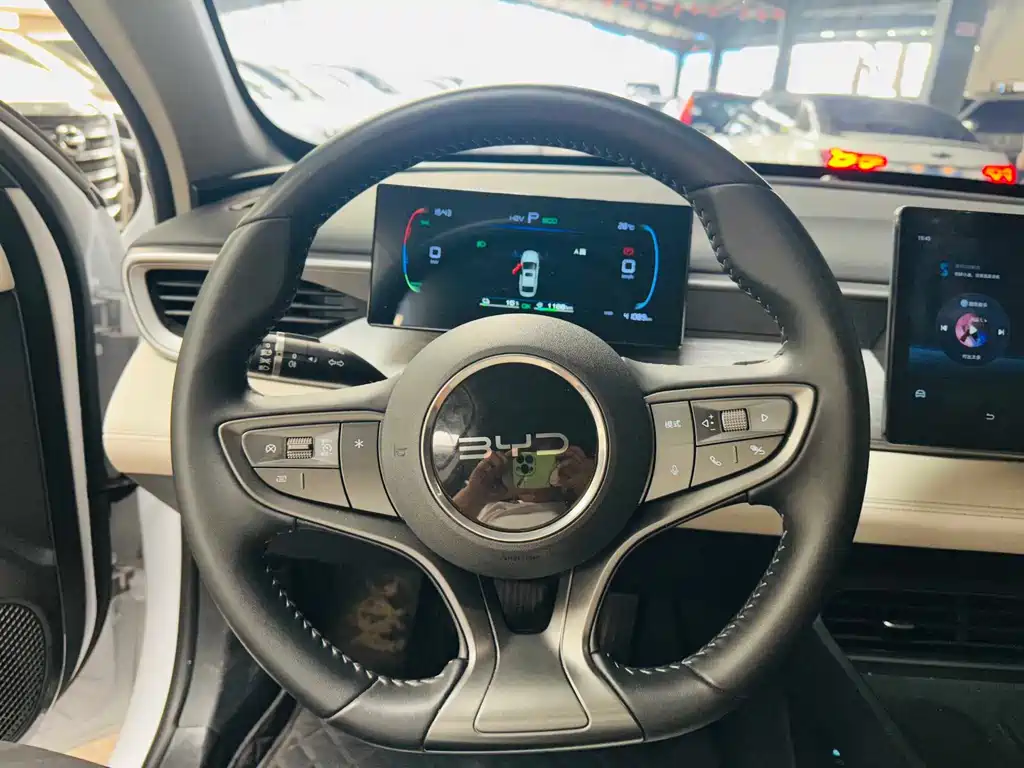 Seal 05 DM-i DM-i Smart Drive 55 KM Luxury