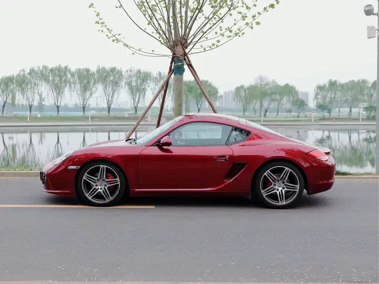 Porsche Cayman Cayman S 3.4 L