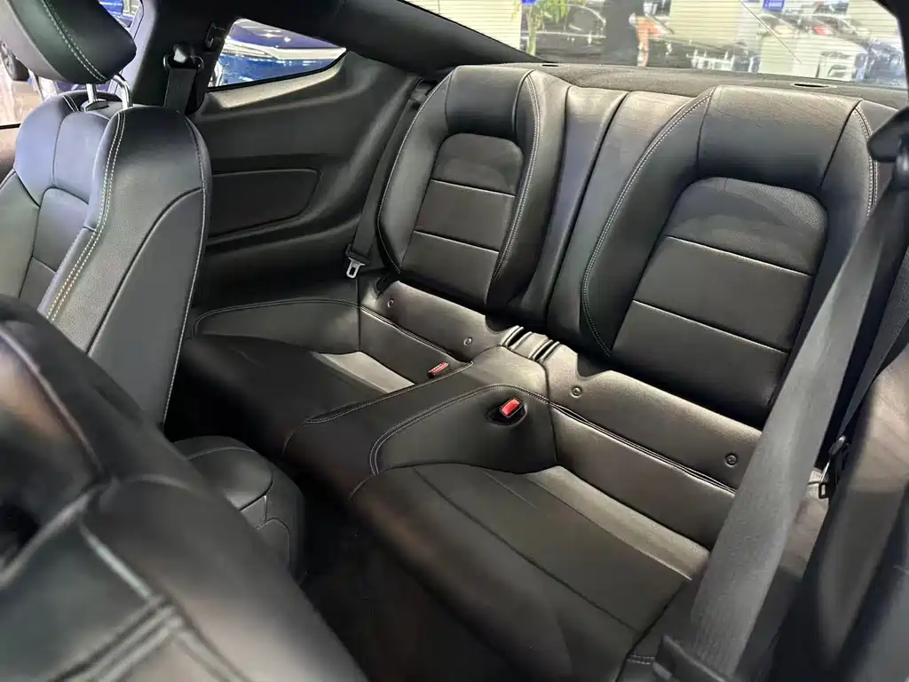 Mustang 2.3 T Performance