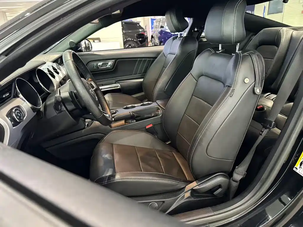 Mustang 2.3 T Performance