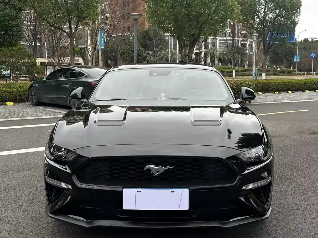 Mustang 2.3 T Performance