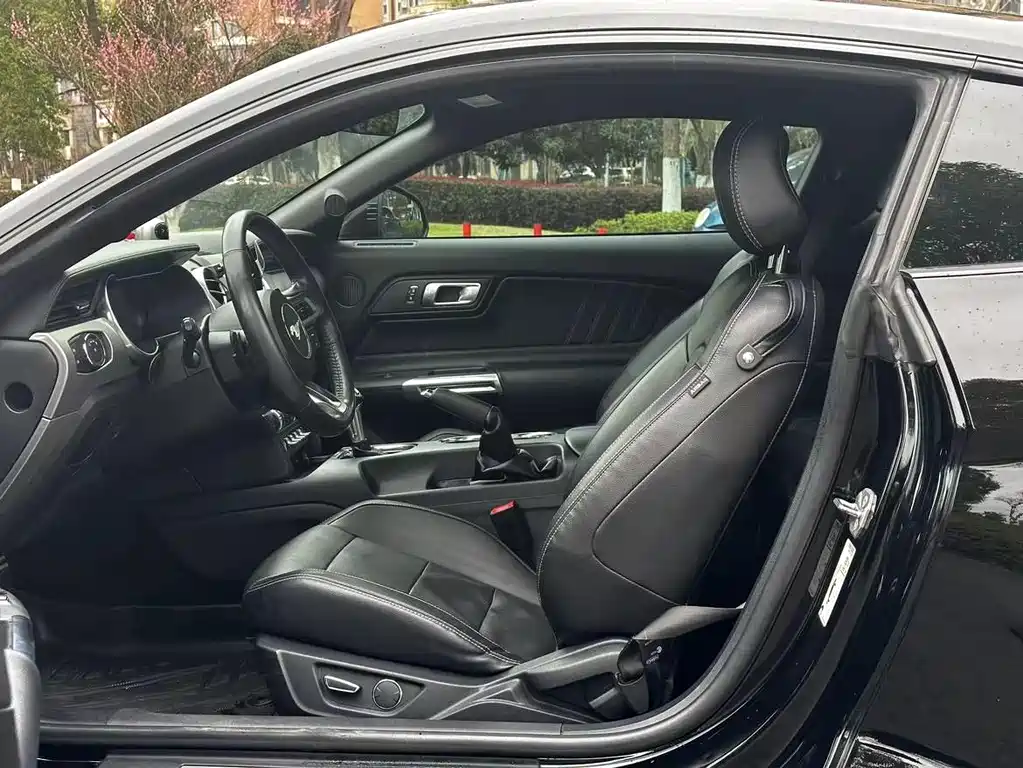 Mustang 2.3 T Performance
