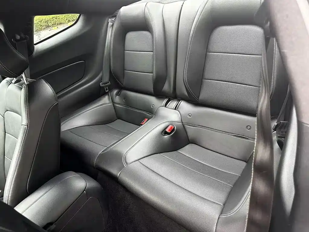 Mustang 2.3 T Performance