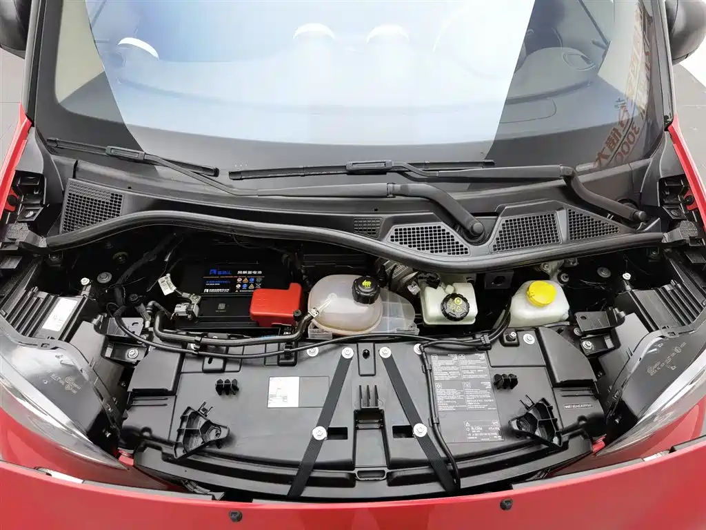 smart fortwo 1.0 L 52 kW Hardtop Agile