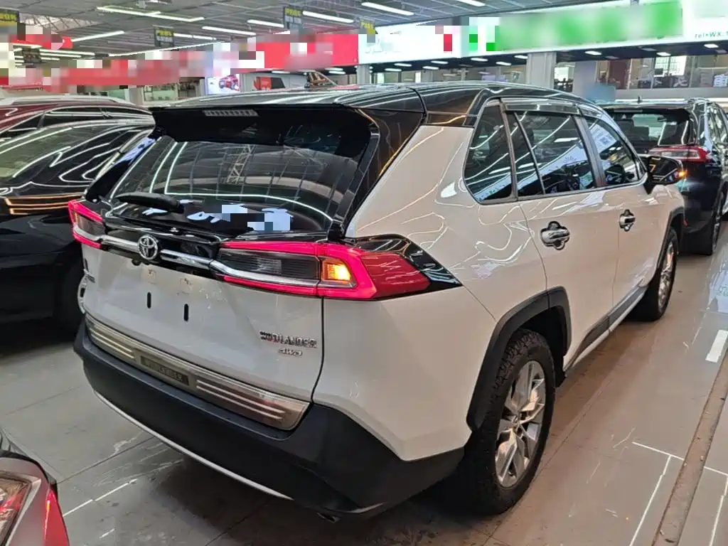Wildlander 2.0 L CVT 4 WD Luxury