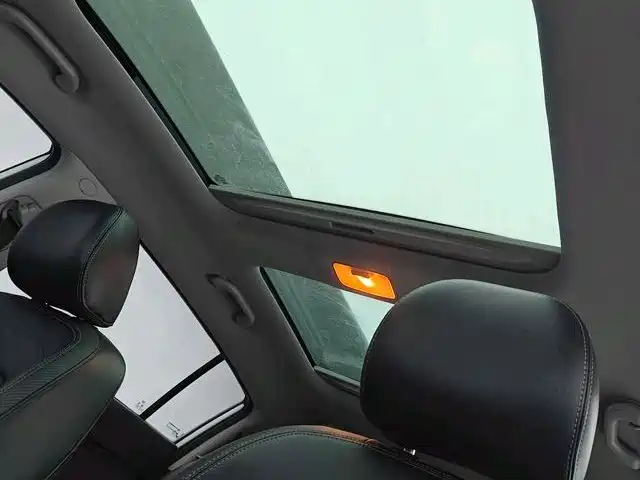 Sportage 2.0 L Auto 2 WD DLX