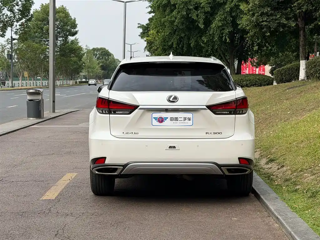 Lexus RX 300 4 WD Elegant CN-VI