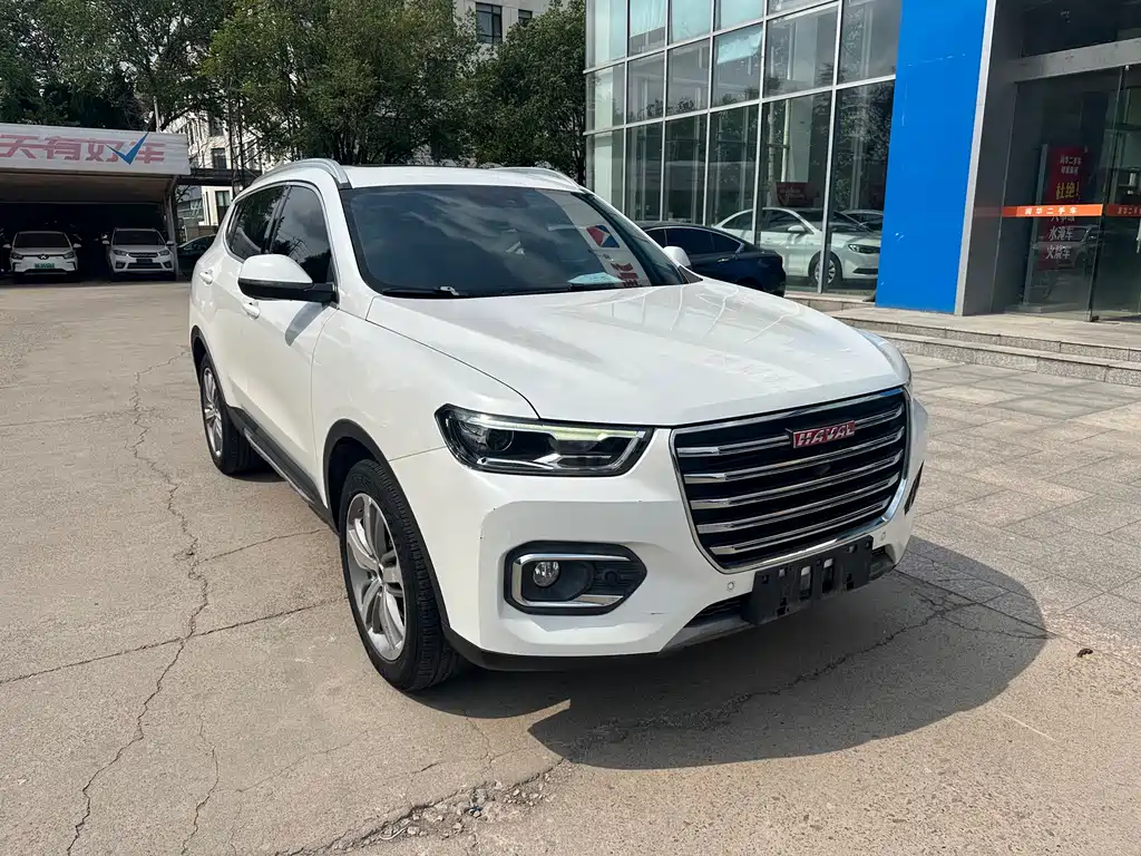 Haval H6 Red Label 2.0 T Auto Luxury