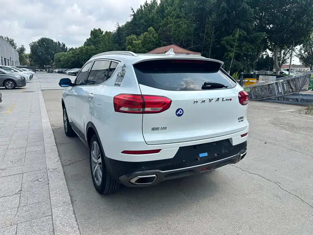 Haval H6 Red Label 2.0 T Auto Luxury