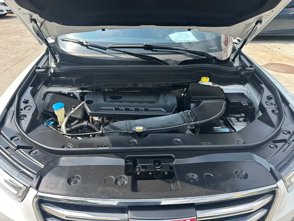 Haval H6 Red Label 2.0 T Auto Luxury
