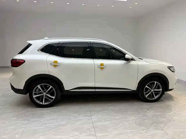 MG HS 名爵HS 2018款 20 T 自动两驱荷尔蒙激情版 国V