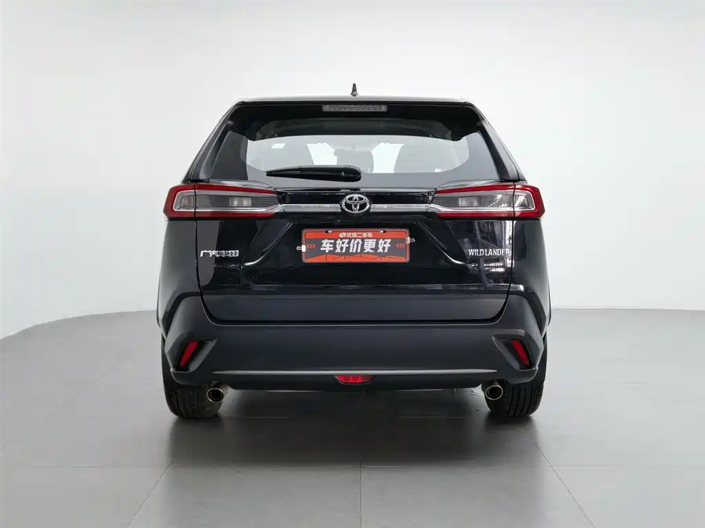 Wildlander 2.0 L CVT 2 WD Leading