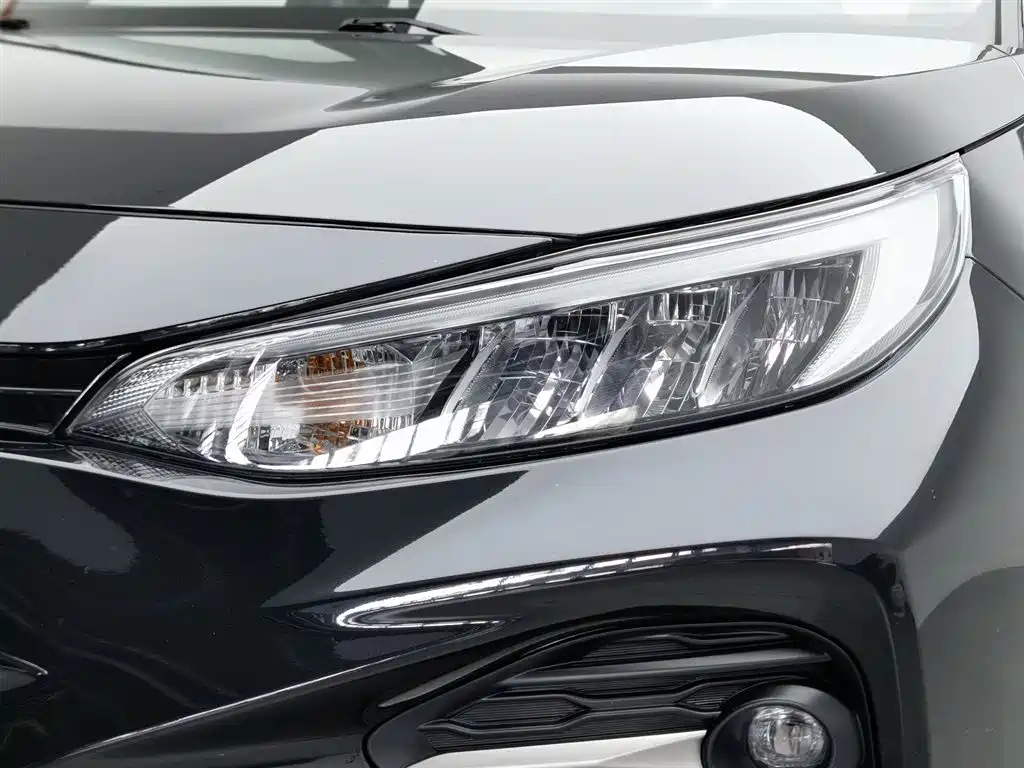 Wildlander 2.0 L CVT 2 WD Leading