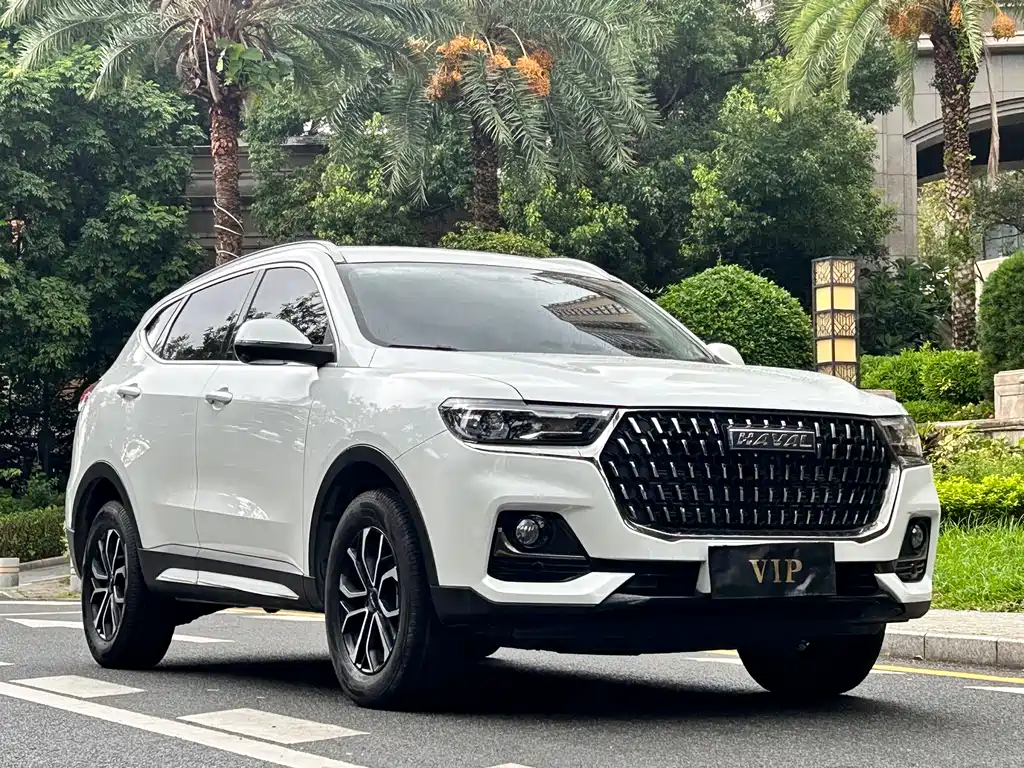 Haval H6 China Style 1.5 T Auto Urban