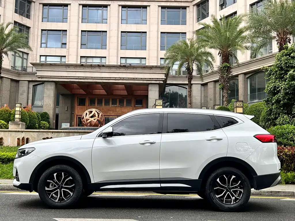 Haval H6 China Style 1.5 T Auto Urban