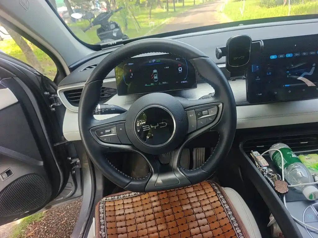 Seal 05 DM-i DM-i Smart Drive 55 KM Luxury