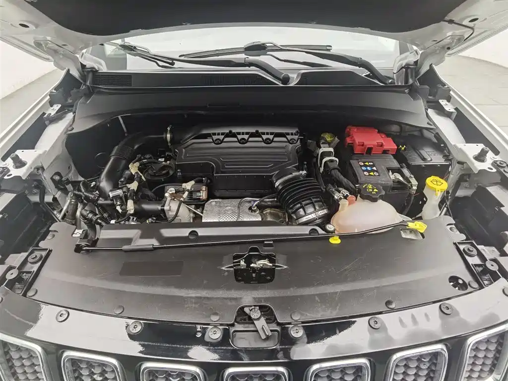 Compass 220 T Auto Joy