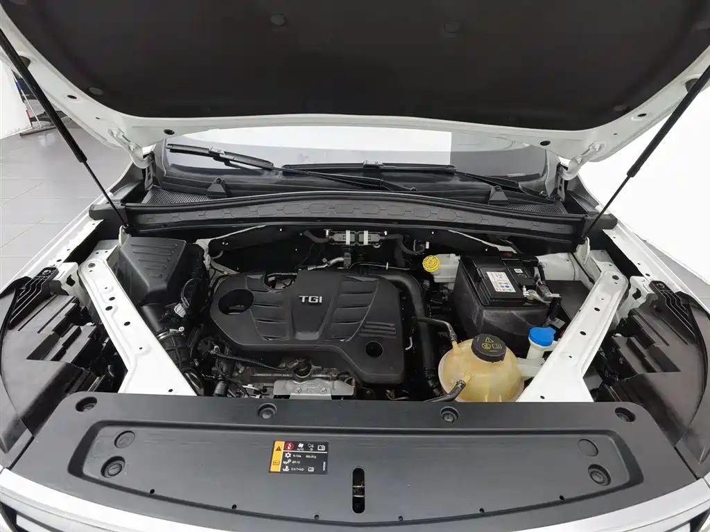 Roewe RX5 MAX 300 TGI Auto Intelligent Cockpit Luxury