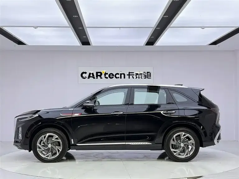 Hongqi HS3 PHEV 115 km Power Action