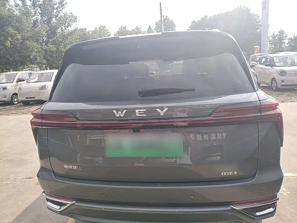 WEY Blue Mountain 4 WD Ultra