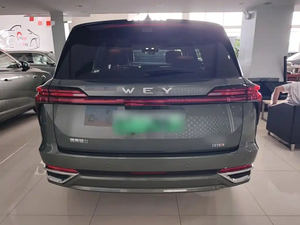 WEY Blue Mountain 4 WD Max
