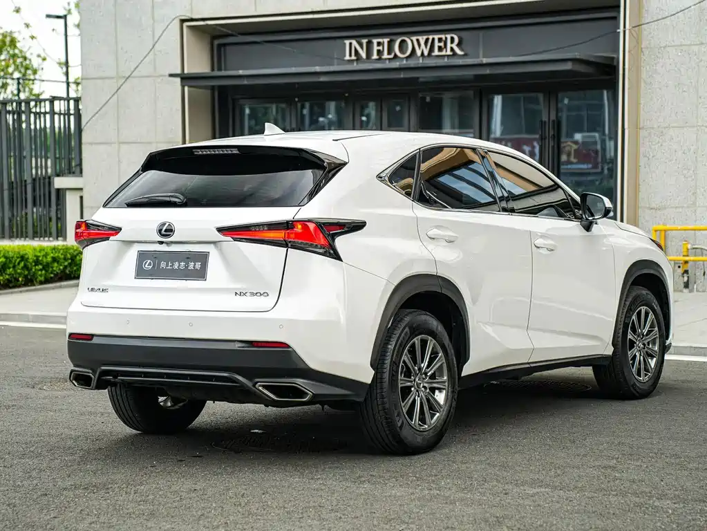 Lexus NX 300 FWD Sharp Travel