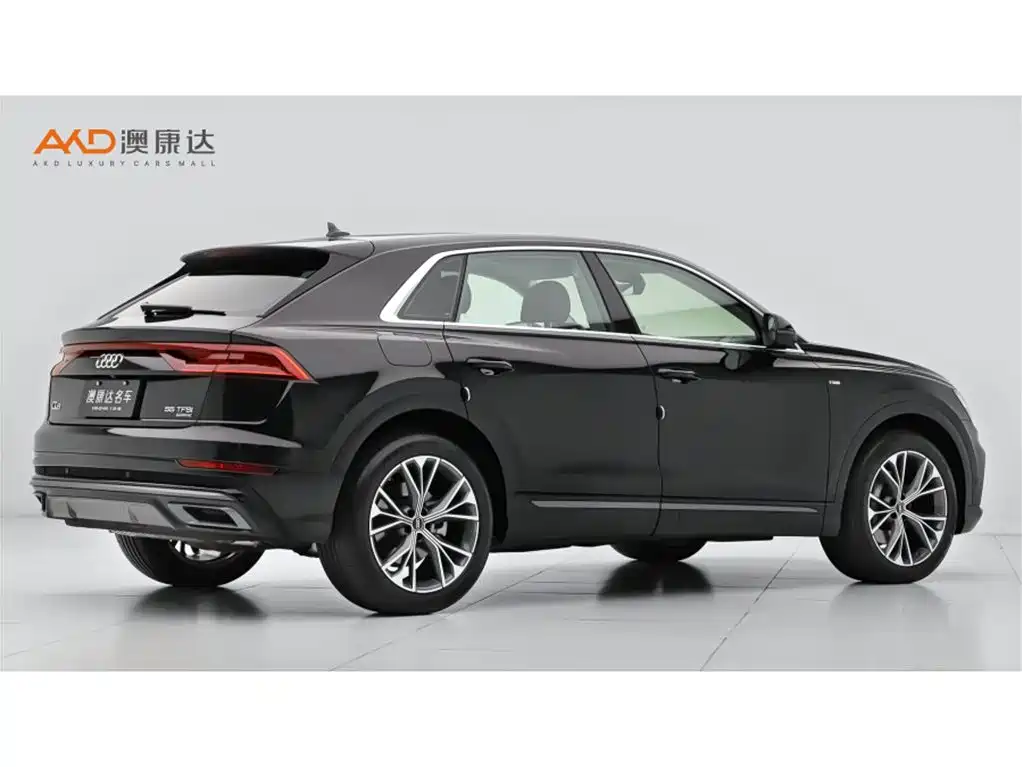Audi Q8 奥迪Q8/3.0 T/23款/55 TFSI 豪华动感型