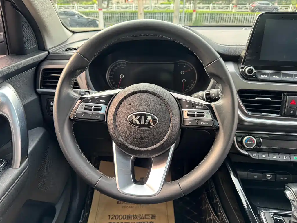 Sportage 2.0 L Auto Smart Enjoyment Luxury