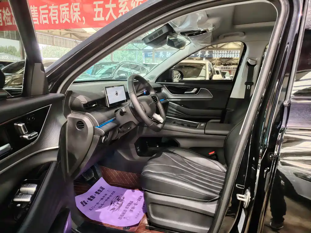 Fengyun T9 风云T9 2026款 220 长续航尊贵型